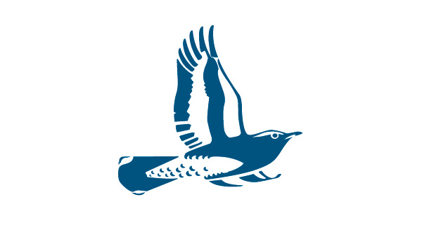 Rotmilan (Mario Böni)